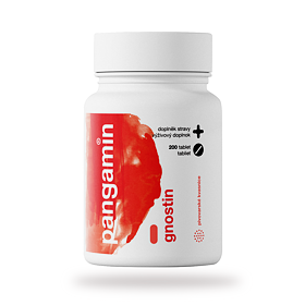 Pangamin® gnostin tbl. 200