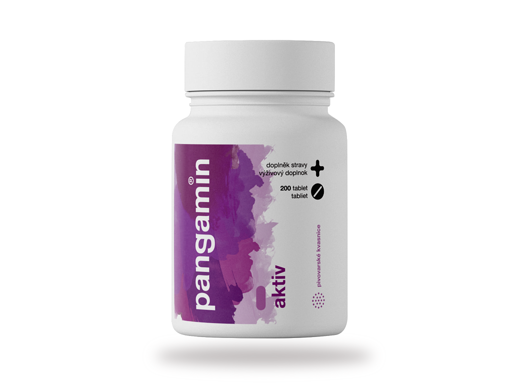 Pangamin® aktiv tbl.200