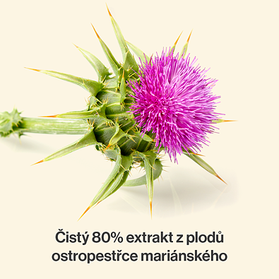 Vzorový produkt (Liver & detox)